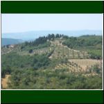 Chianti_und_Arezzo_113.jpg